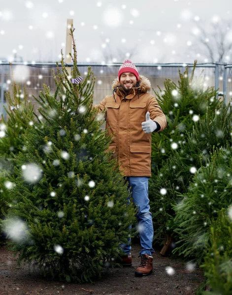 Homme heureux achetant arbre de Noël au marché — Photo