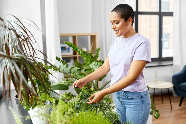 Mujer afroamericana cuidando de plantas de interior —  Fotos de Stock