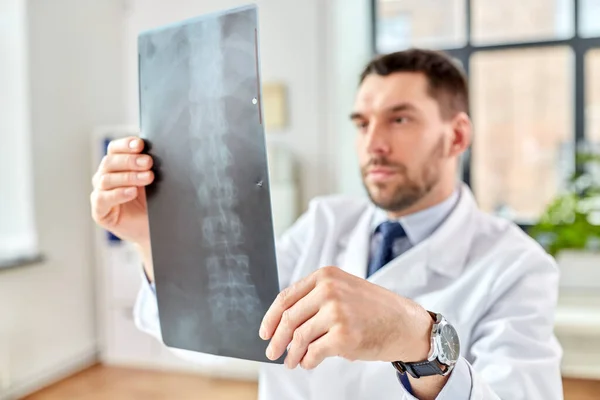 Manlig läkare med röntgen av ryggraden på sjukhus Stockbild
