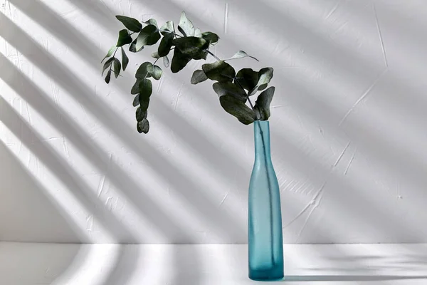 Ramo de eucalipto em vaso de vidro sobre mesa branca — Fotografia de Stock