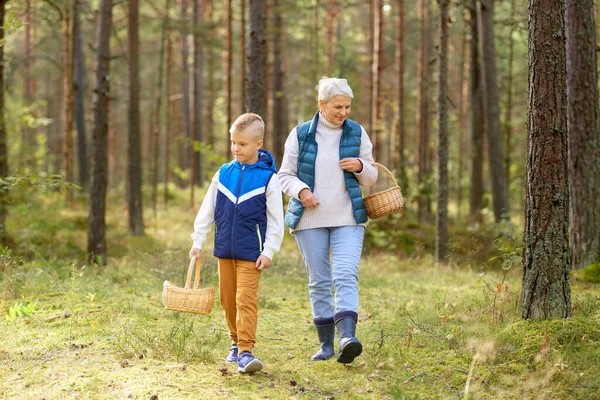 Бабушка и внук с грибами в лесу — стоковое фото