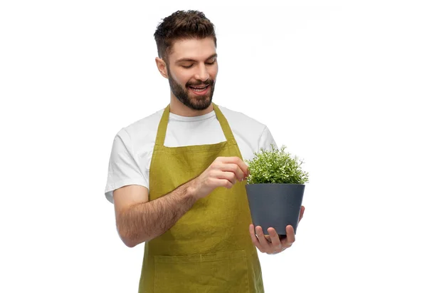 Glad leende manlig trädgårdsmästare med blomma i potten — Stockfoto