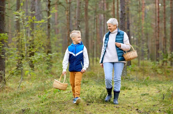 Babička a vnuk s houbami v lese — Stock fotografie