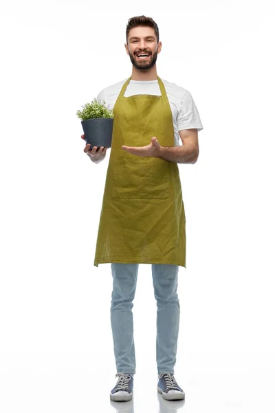 Jardinero masculino sonriente feliz con la flor en la olla —  Fotos de Stock