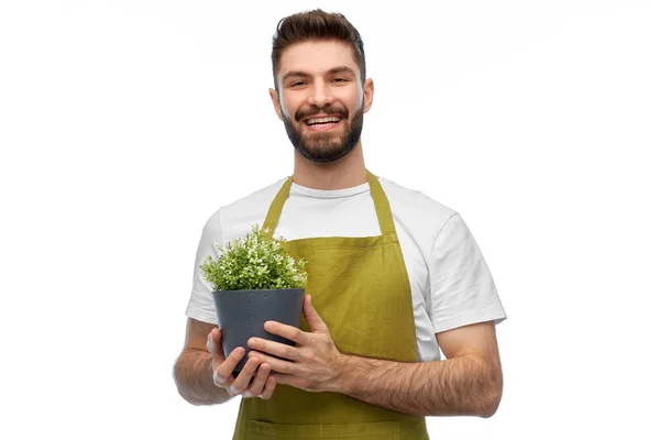 Glad leende manlig trädgårdsmästare med blomma i potten — Stockfoto