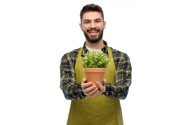 Szczęśliwy mężczyzna ogrodnik lub rolnik z kwiatem w garnku — Zdjęcie stockowe