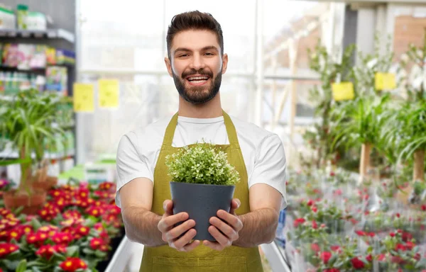 Uśmiechnięty mężczyzna ogrodnik z kwiatem w garnku w sklepie — Zdjęcie stockowe