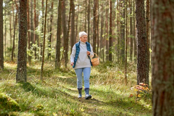 Donna anziana raccolta funghi nella foresta autunnale — Foto Stock
