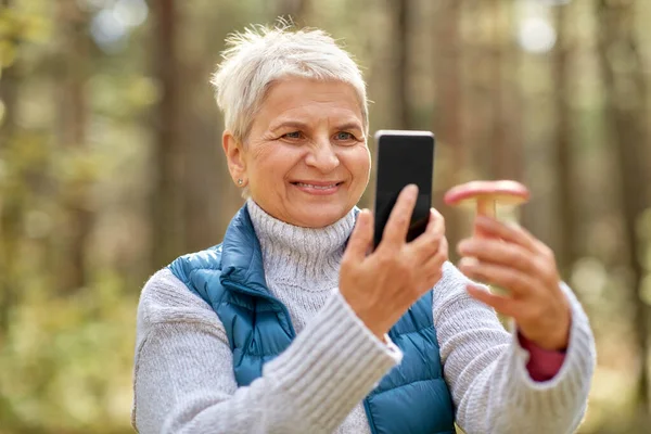 Mulher idosa usando smartphone para identificar cogumelo — Fotografia de Stock