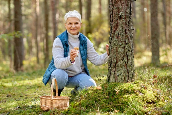 Senior kvinna plocka svamp i höstskogen — Stockfoto