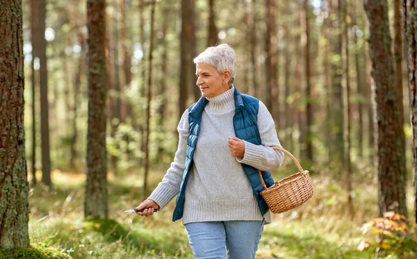 Senior vrouw plukken paddestoelen in de herfst bos — Stockfoto