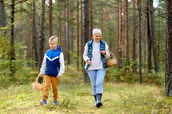 Grootmoeder en kleinzoon met champignons in het bos — Stockfoto