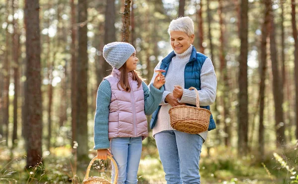 Nonna e nipote raccolta funghi — Foto Stock