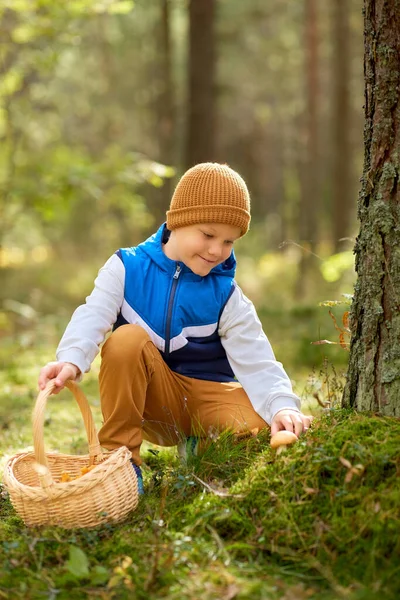 Gelukkig jongen met mand plukken paddestoelen in bos — Stockfoto
