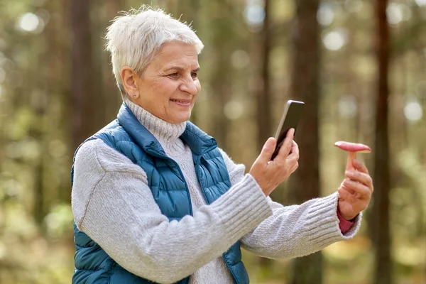 Ηλικιωμένη γυναίκα που χρησιμοποιεί smartphone για την αναγνώριση μανιταριών — Φωτογραφία Αρχείου