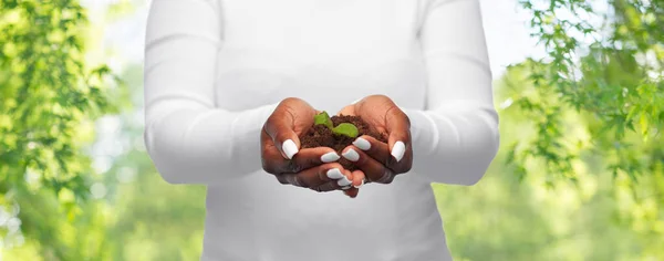 Vrouw holding plant groeien in handvol grond — Stockfoto