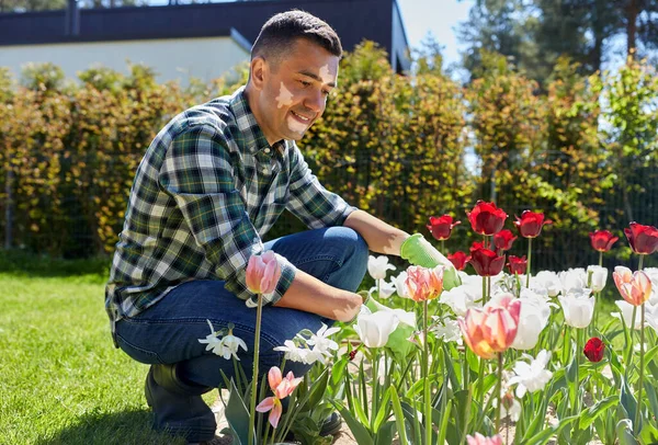 Mann mit Vitiligo wächst Blumen im Garten — Stockfoto