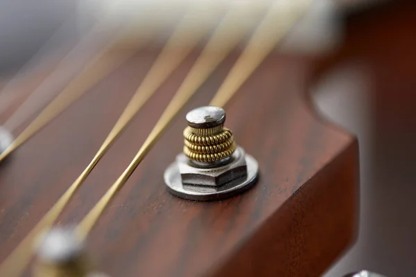 Primer plano de la cabeza de guitarra acústica con clavijas — Foto de Stock
