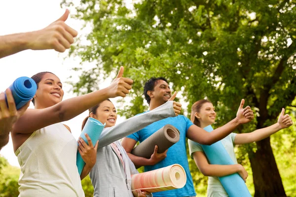 Groep gelukkige mensen met yogamatten in het park — Stockfoto