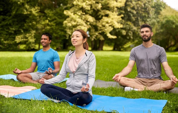 Gruppo di persone che fanno yoga al parco estivo — Foto Stock