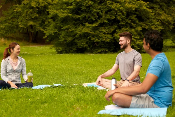 Grupp människor som sitter på yogamattor i parken — Stockfoto