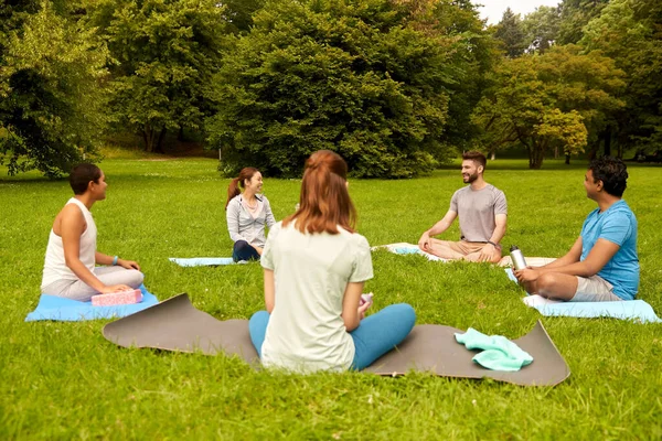 Gruppe von Menschen sitzt auf Yogamatten im Park — Stockfoto