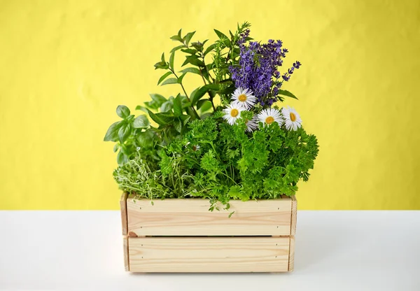 Masadaki tahta kutuda yeşil otlar ve çiçekler. — Stok fotoğraf
