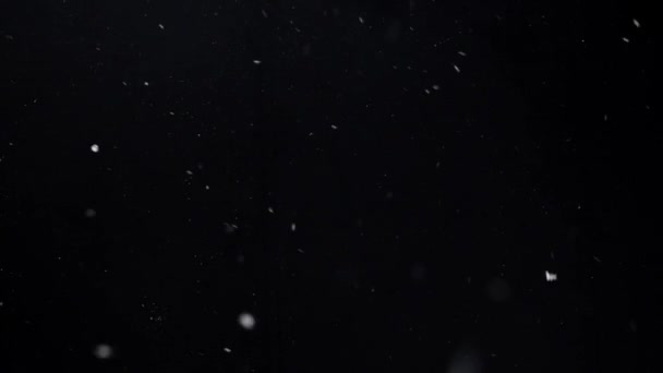 Χιόνι πέφτει πάνω από μαύρο φόντο — Αρχείο Βίντεο