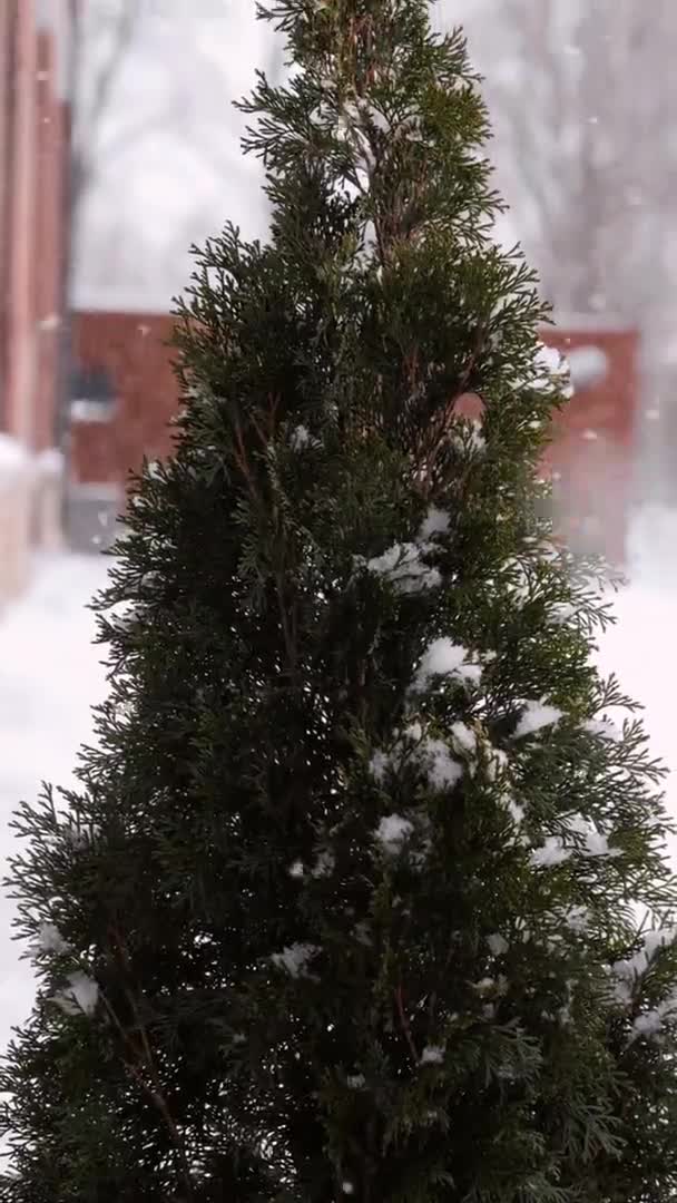 Tallinn şehrinde kar yağıyor, kışın Estonya — Stok video