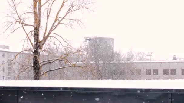 Neve che cade nella città di tallinn, estonia in inverno — Video Stock