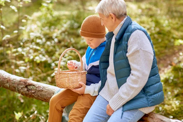 Nonna e nipote con funghi nella foresta — Foto Stock