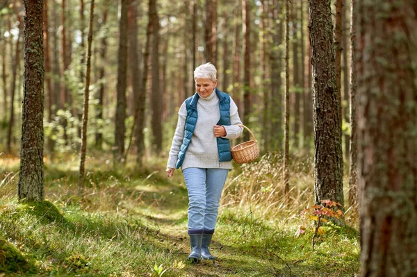 Пожилая женщина собирает грибы в осеннем лесу — стоковое фото