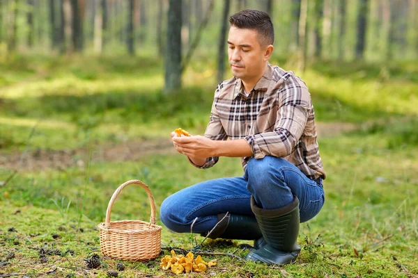 Man med korg plocka svamp i skogen — Stockfoto