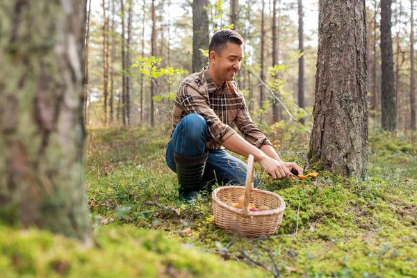 快乐的男人，提着篮子在森林里采摘蘑菇 — 图库照片