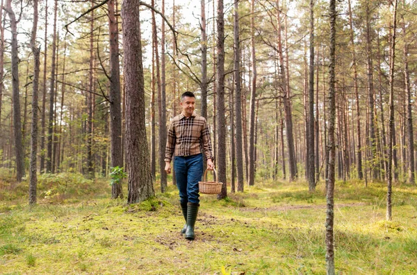 Homem feliz com cesta pegando cogumelos na floresta — Fotografia de Stock