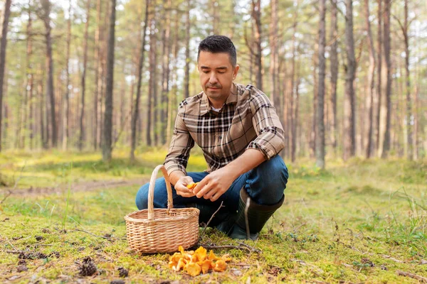 Glad man med korg plocka svamp i skogen — Stockfoto