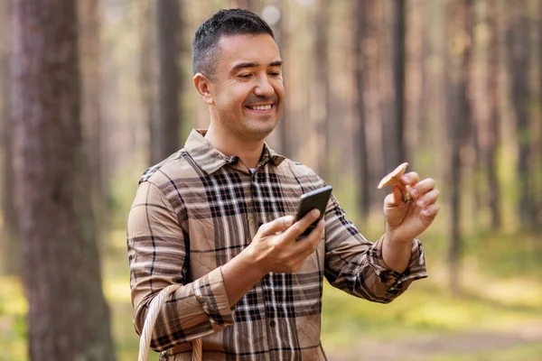 Man met smartphone om paddenstoel te identificeren — Stockfoto