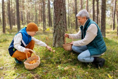 grandmother and grandson with mushrooms in forest clipart