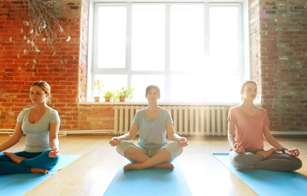 Meditáló emberek egy csoportja a jóga stúdióban — Stock Fotó