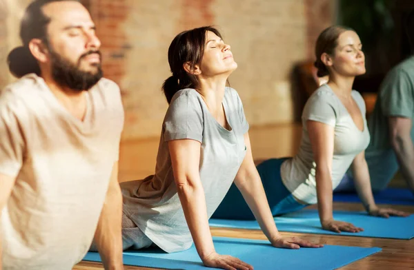 Gruppo di persone che fanno yoga cane posa in studio — Foto Stock