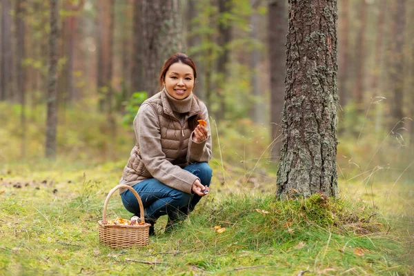 Jovem mulher pegando cogumelos na floresta de outono — Fotografia de Stock