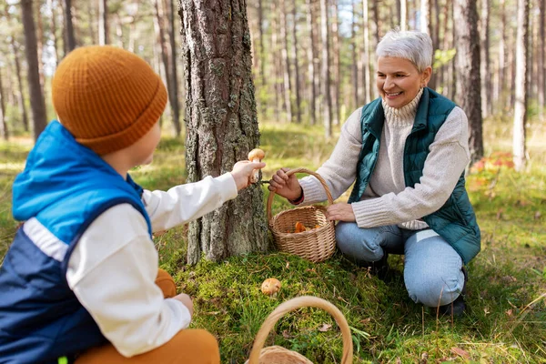 Nonna e nipote con funghi nella foresta — Foto Stock