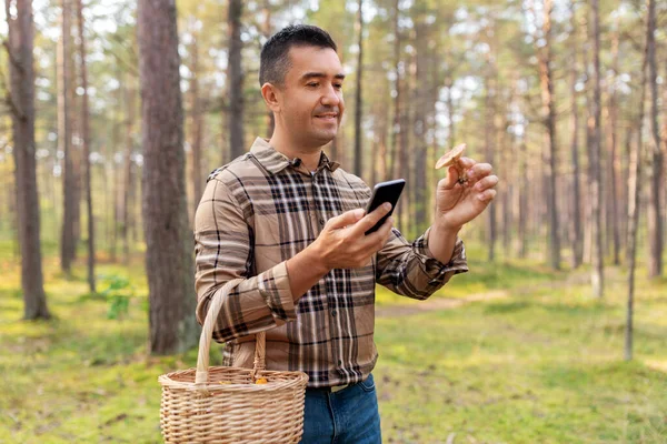 Adam mantarı tanımlamak için akıllı telefon kullanıyor. — Stok fotoğraf