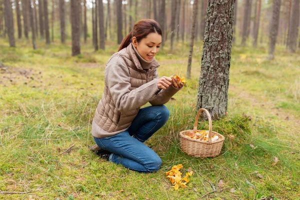 Giovane donna che raccoglie funghi nella foresta autunnale — Foto Stock