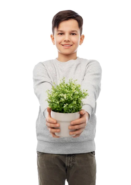 Heureux sourire garçon tenant fleur en pot — Photo