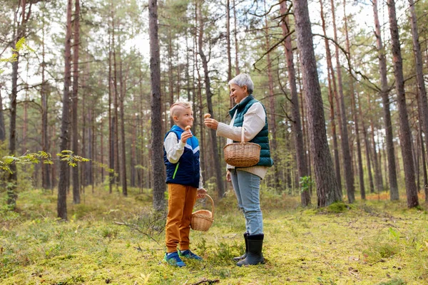 Nonna e nipote con funghi nella foresta — Foto Stock