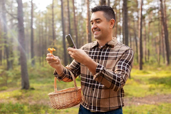 Mann identifiziert Pilz mit Smartphone — Stockfoto