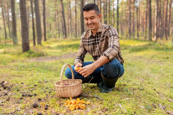 Glad man med korg plocka svamp i skogen — Stockfoto