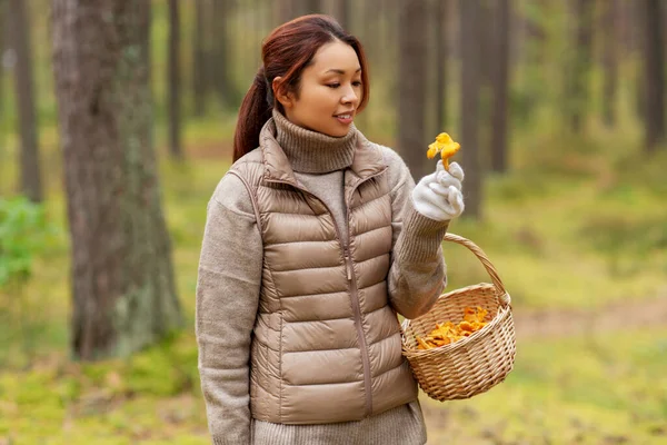 Genç bir kadın sonbahar ormanında mantar topluyor. — Stok fotoğraf