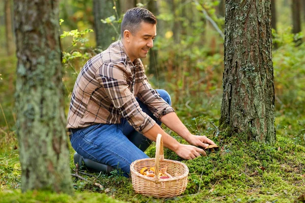 Felice uomo con cesto raccolta funghi nella foresta — Foto Stock